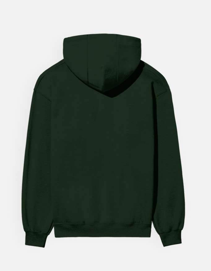 AKSHAR hoodie in Arav Green, product view, back